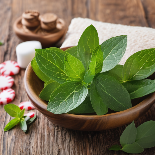 Peppermint Eucalyptus - Natural Wax Scented Candle